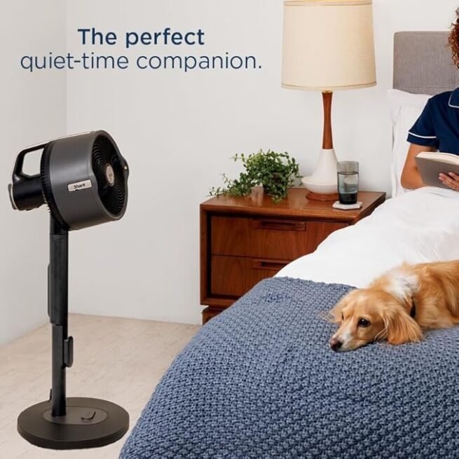 Shark Ventilador FlexBreeze Pro Mist — interno e externo, nebulização integrada, pedestal para mesa, com ou sem fio, bateria de até 24 horas, oscilante, cinza carvão, FA302 (versão 2025)